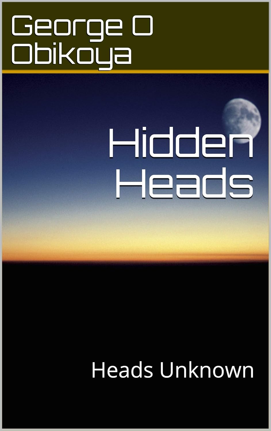 Hidden Heads: Heads Unknown poster