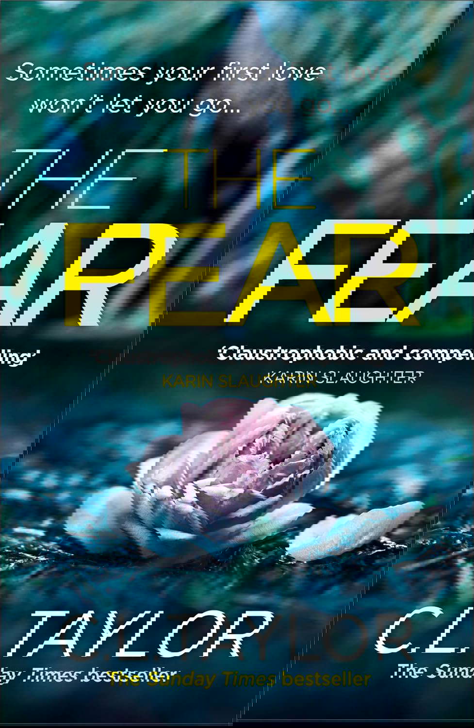 FEAR PB poster