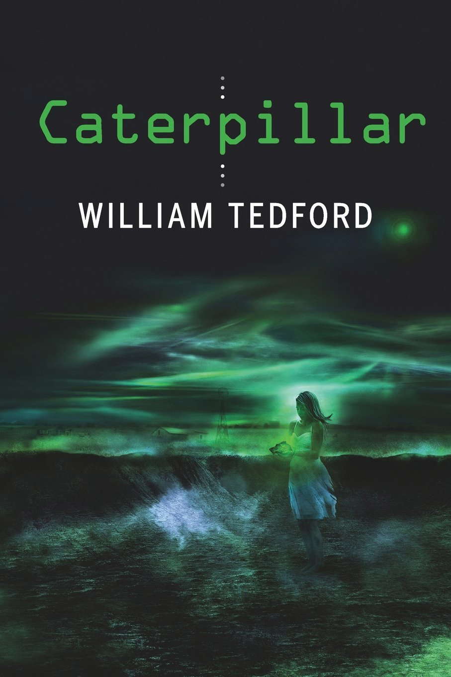 Caterpillar poster