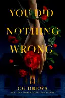 You Did Nothing Wrong poster