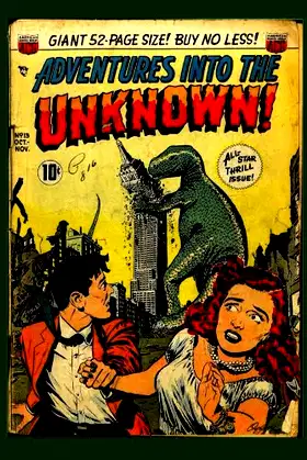 Adventures Into The Unknown #13 poster