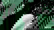 episode poster