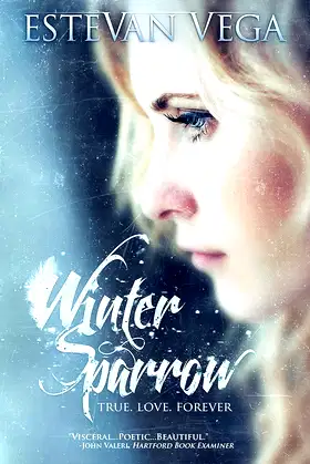 Winter Sparrow poster
