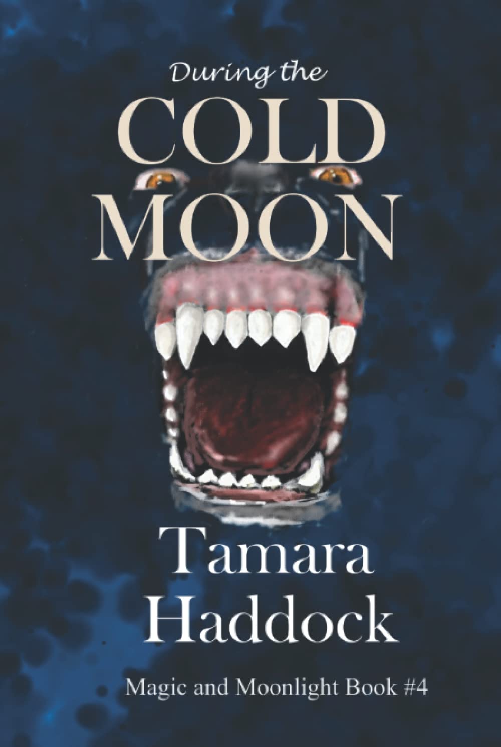 During the Cold Moon (Magic and Moonlight) poster