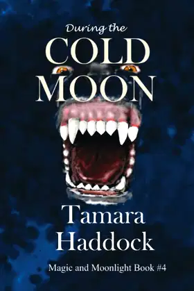 During the Cold Moon (Magic and Moonlight) poster