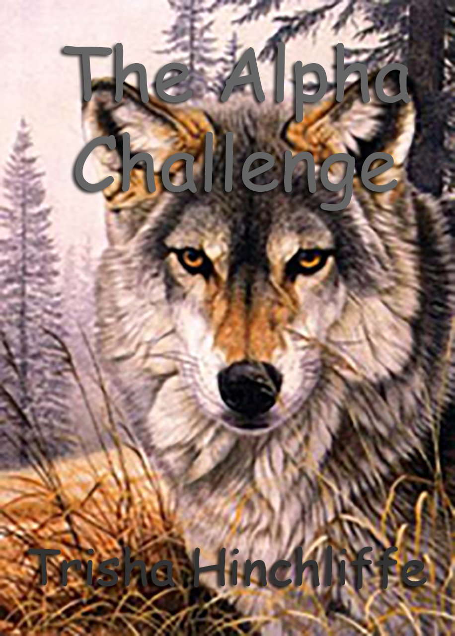 The Alpha Challenge poster
