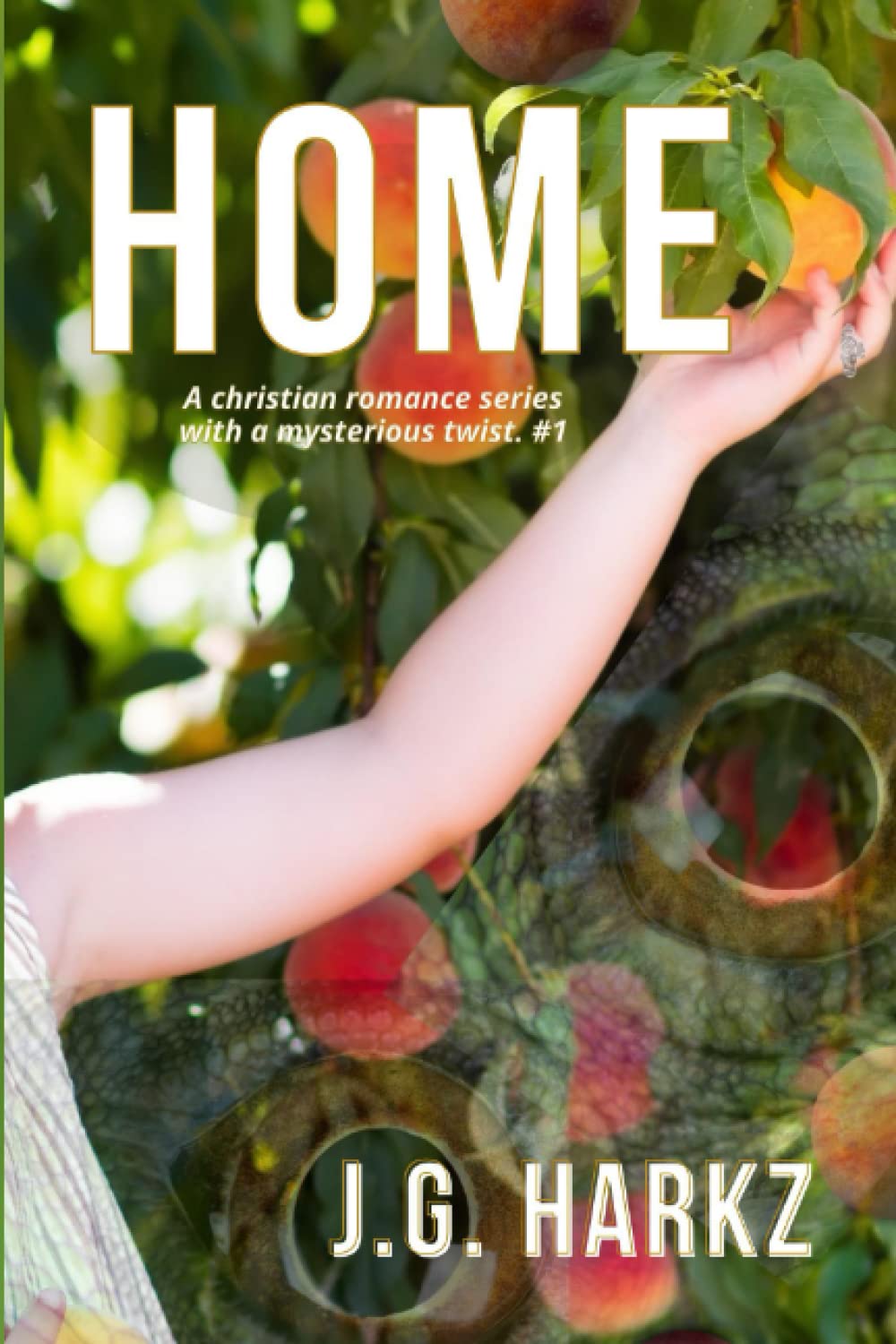 Home: Book 1 (Paranormal Romance Anthology) poster