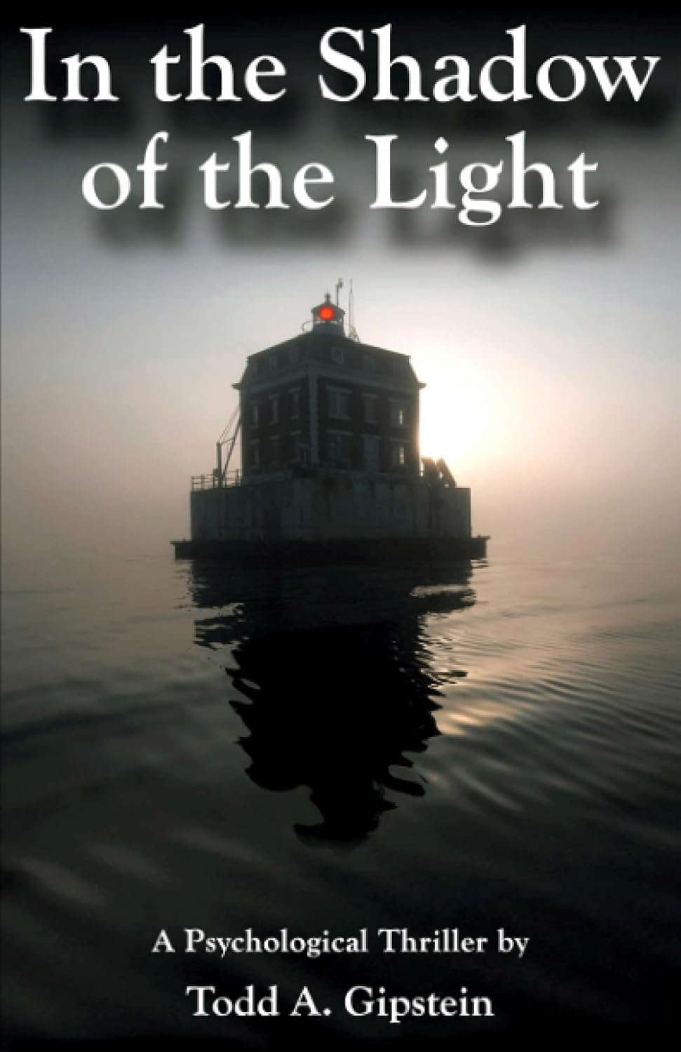 In the Shadow of the Light poster