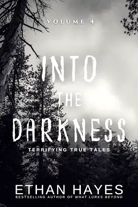 Into the Darkness: Terrifying True Tales: Volume 4 poster