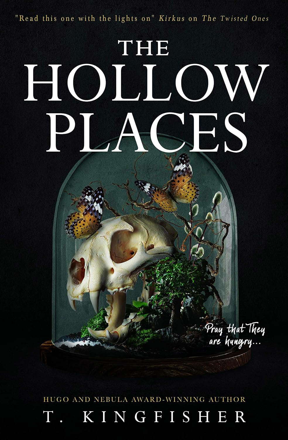 The Hollow Places poster