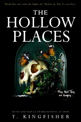 The Hollow Places poster