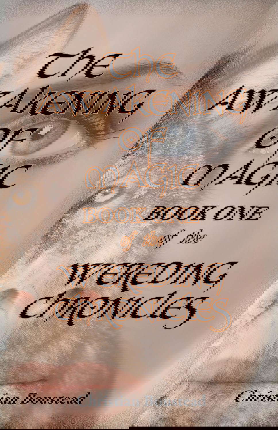 The Awakening of Magic: Book One of the Wereding Chronicles poster