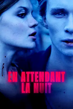 Waiting for the Night poster