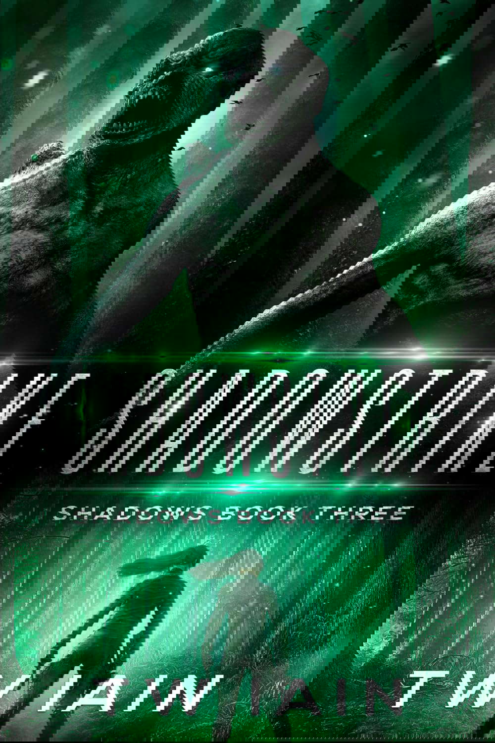 Shadowstrike: Shadows Book Three poster