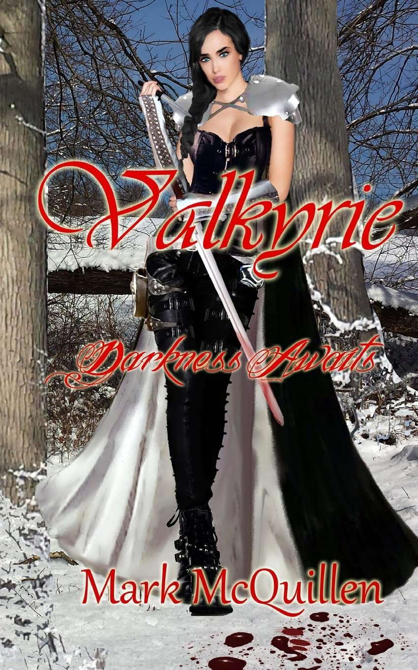 Valkyrie: Darkness Awaits poster
