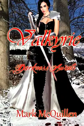 Valkyrie: Darkness Awaits poster