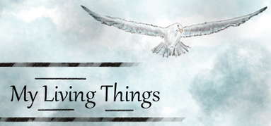 My Living Things capsule