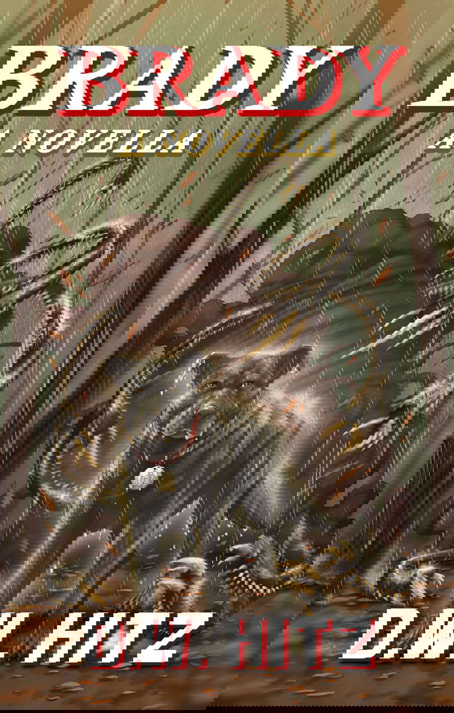 Brady poster
