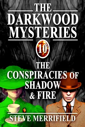 The Darkwood Mysteries (10): The Conspiracies of Shadow & Fire poster