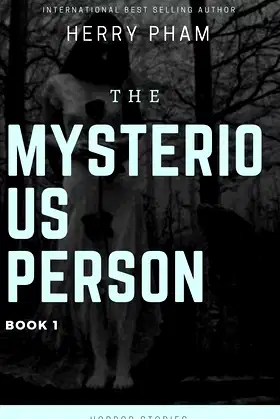 Mysterious Person poster
