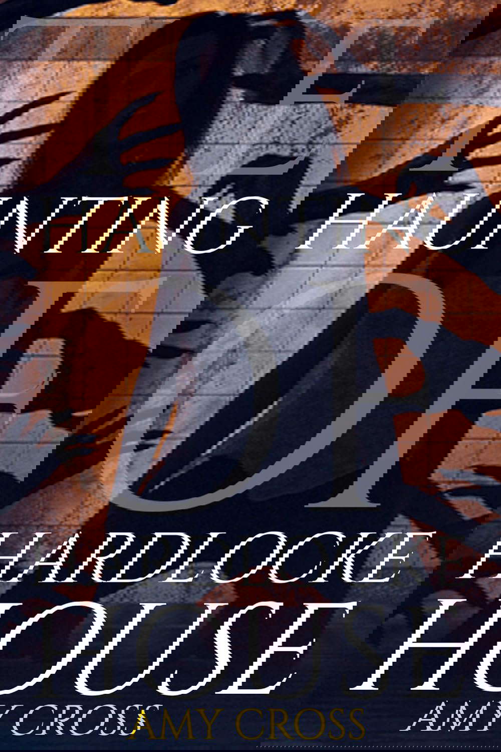 The Haunting of Hardlocke House (The Haunted House Collection) poster