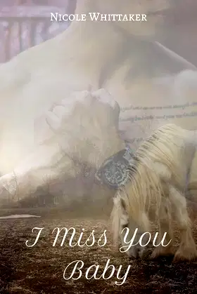 I Miss You Baby poster