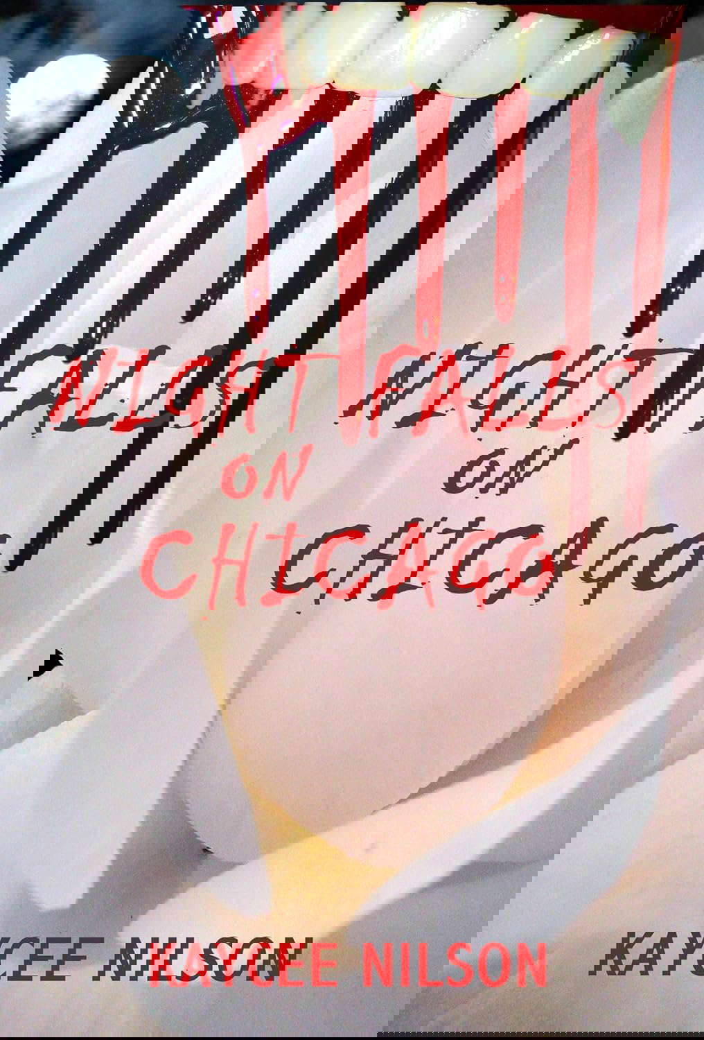 Night Falls on Chicago poster