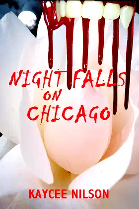 Night Falls on Chicago poster