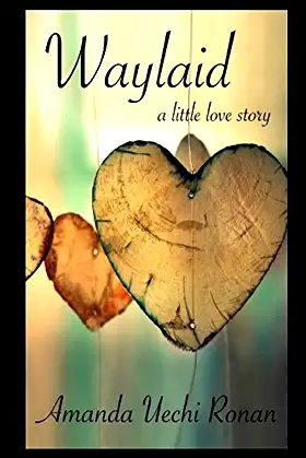 Waylaid poster