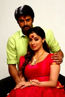 Sowkarpettai poster