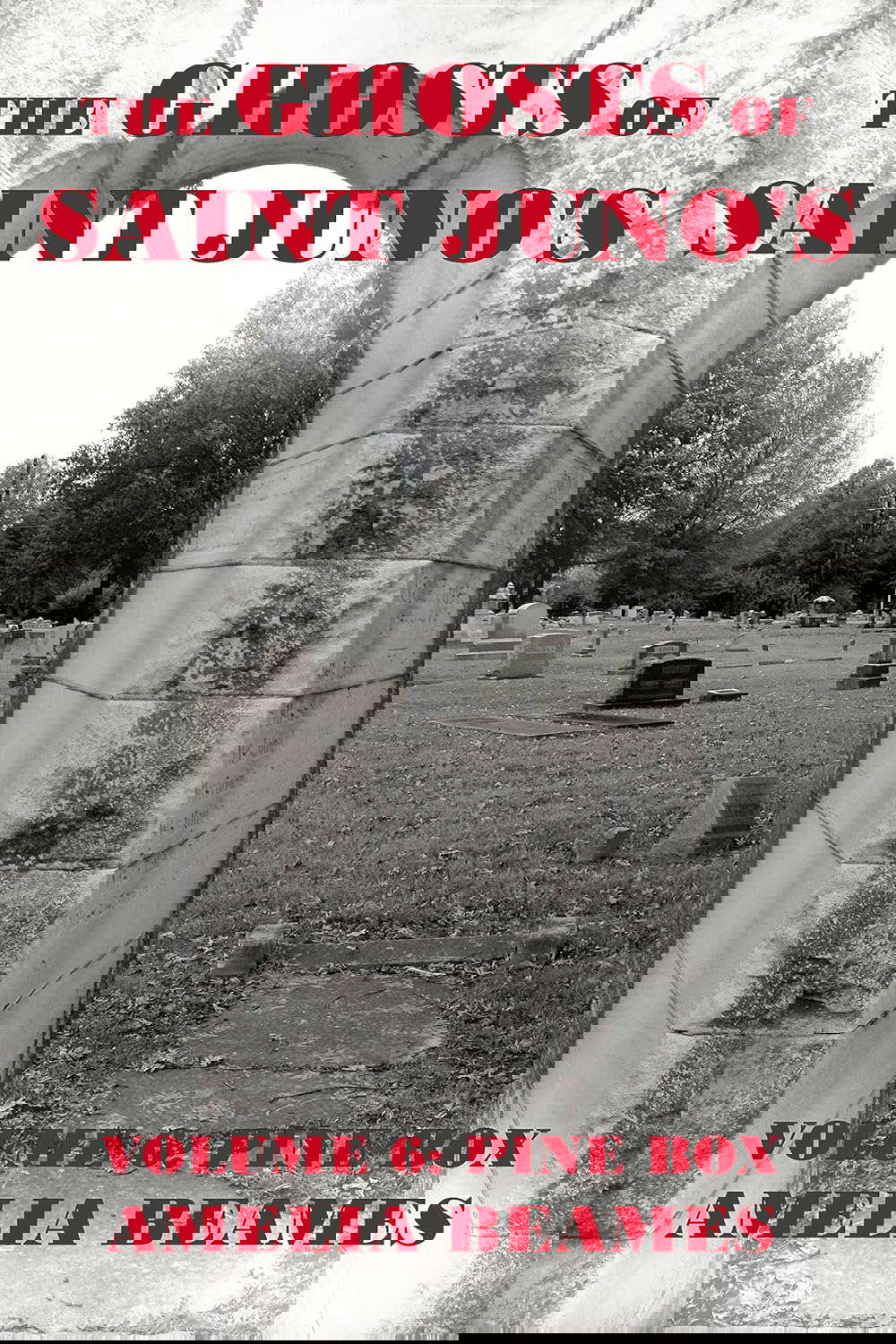 Pine Box (The Ghosts of Saint Juno's Book 6) poster