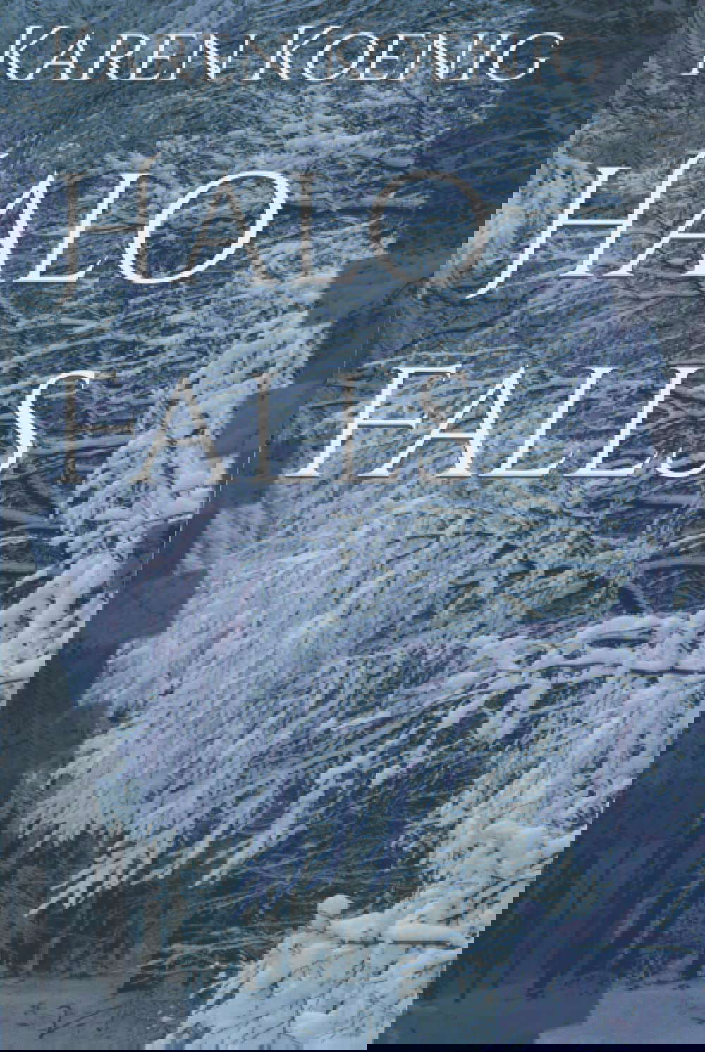 Halo Falls poster