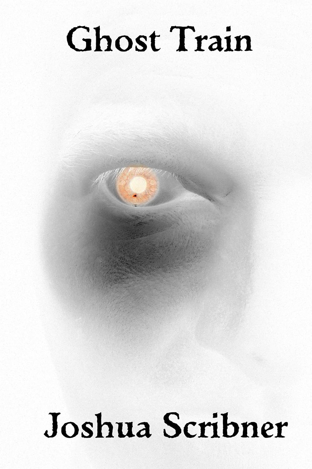 Ghost Train (Scribner Short Reads) poster