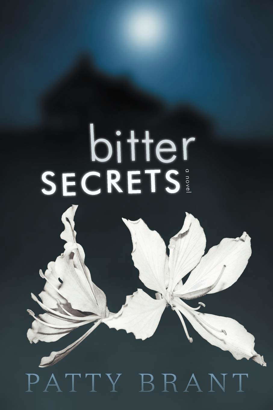 Bitter Secrets poster