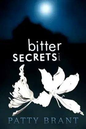 Bitter Secrets poster