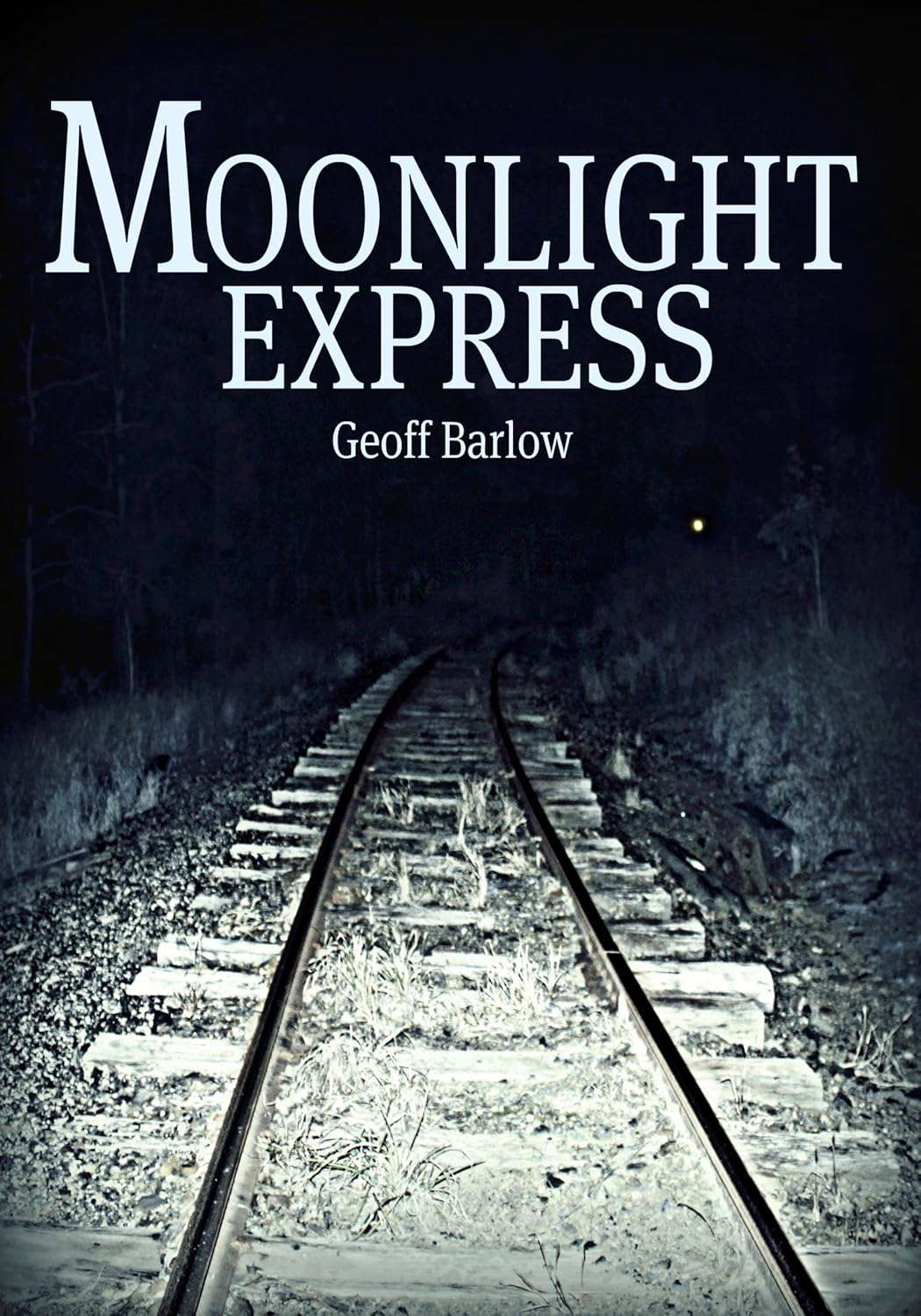 Moonlight Express poster