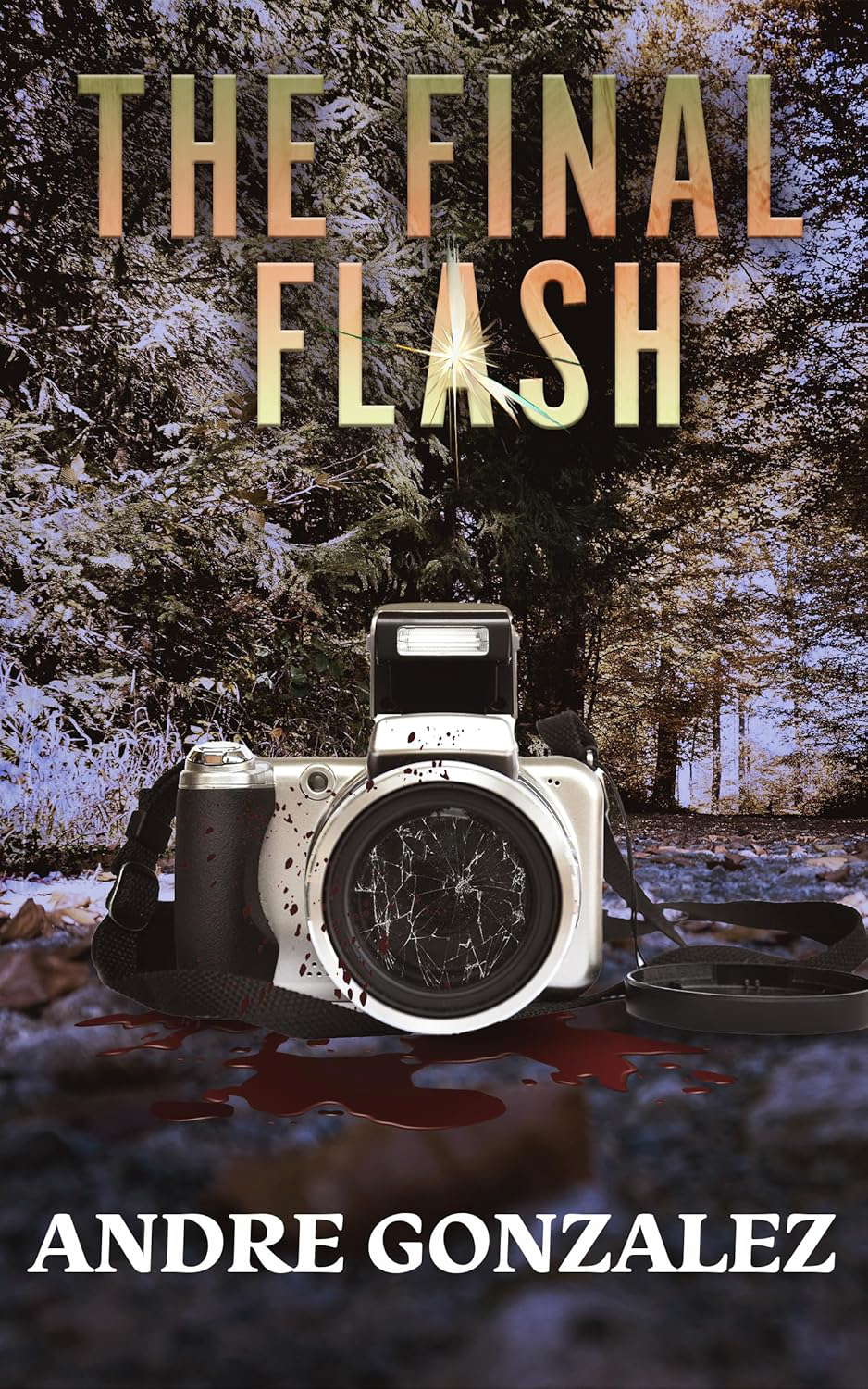 The Final Flash poster