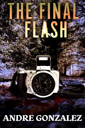 The Final Flash poster