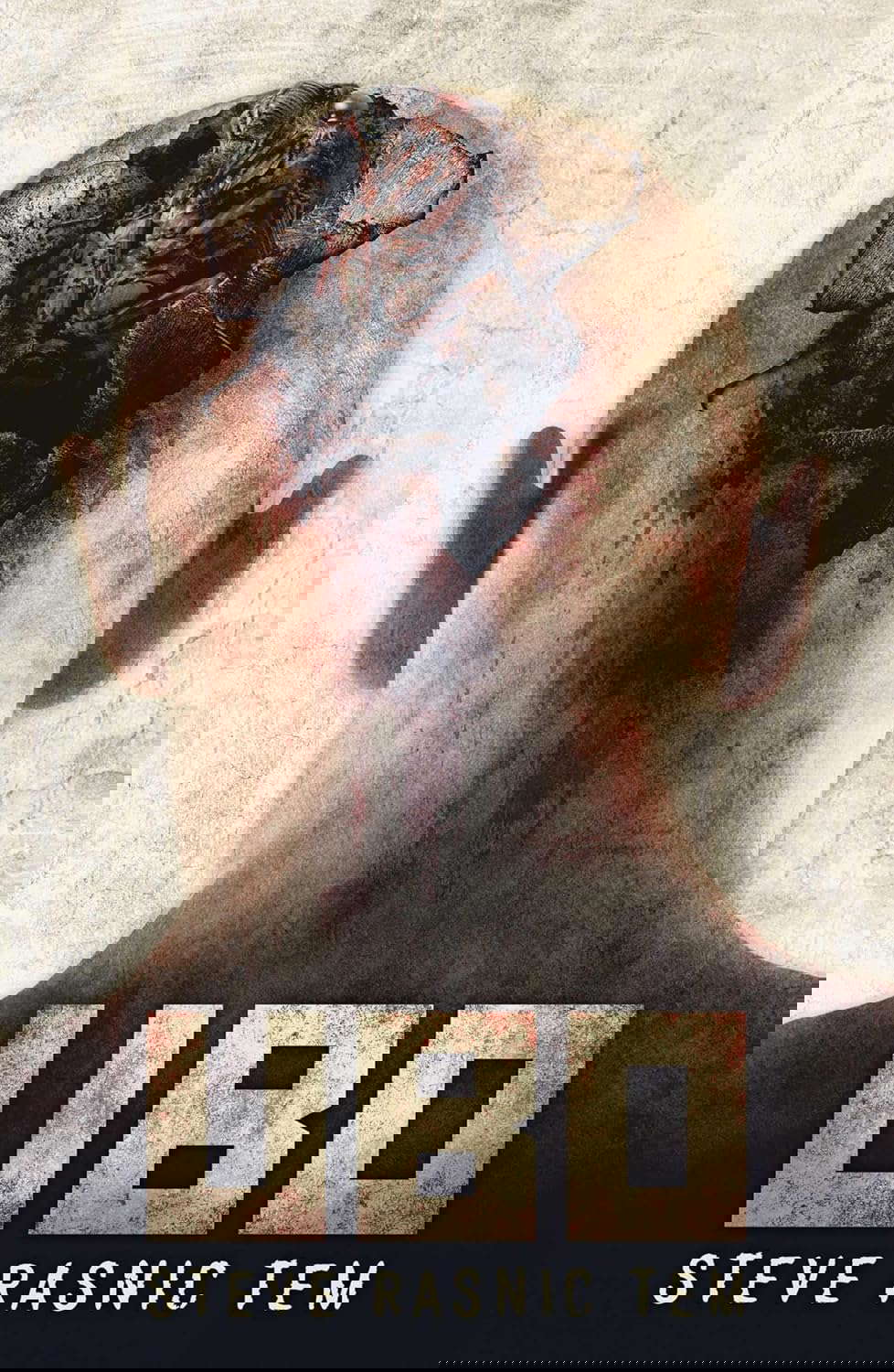 Ubo poster