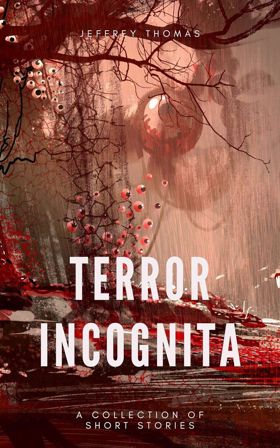 Terror Incognita: 13 Terrors poster