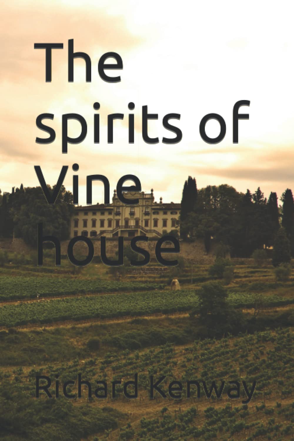 The spirits of Vine house poster