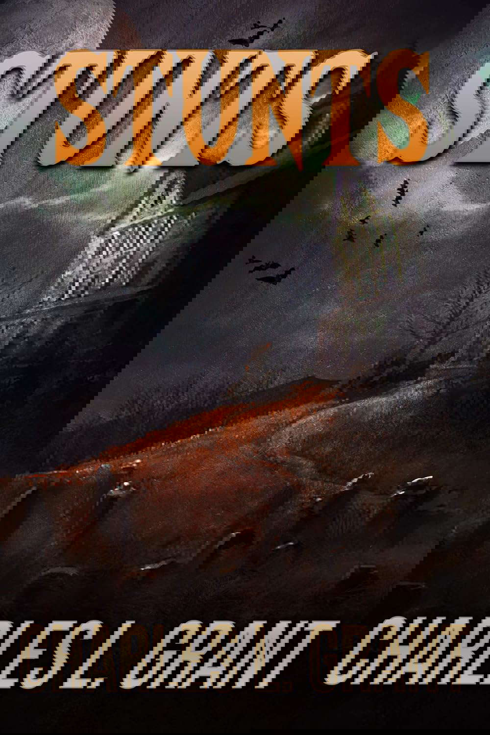 Stunts poster