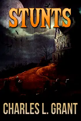 Stunts poster