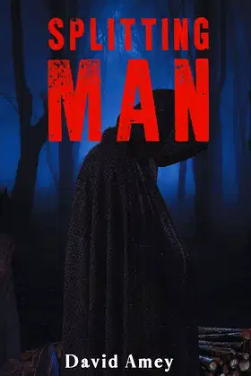 Splitting Man poster