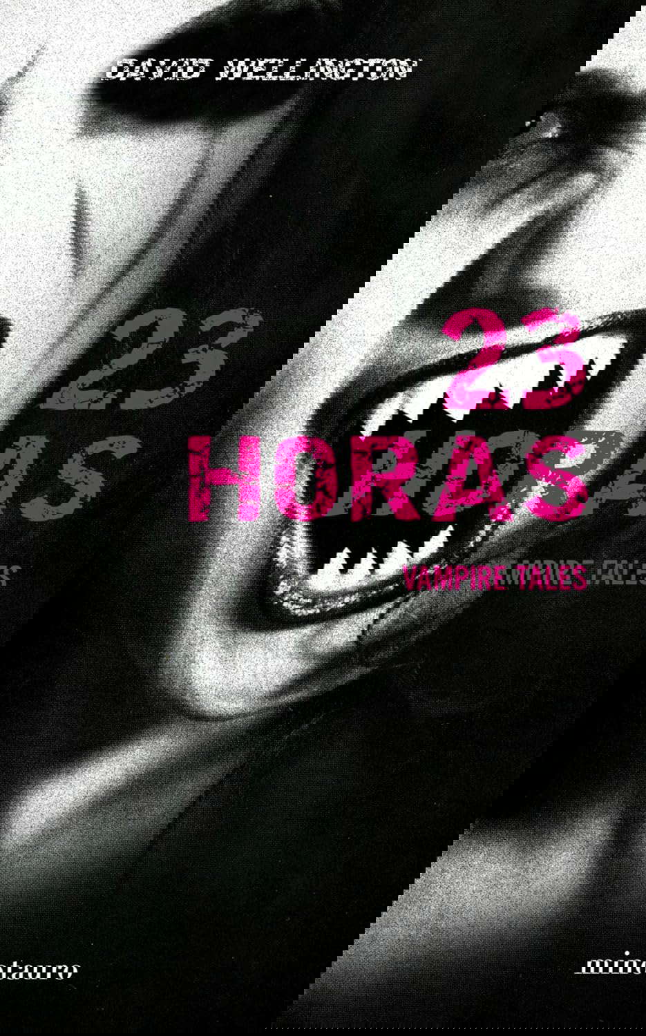 23 horas poster