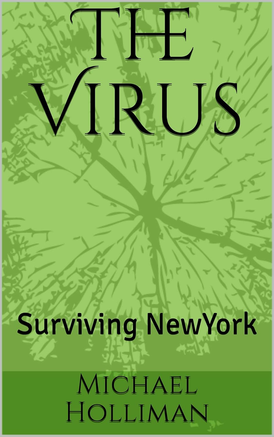The Virus: Surviving NewYork poster