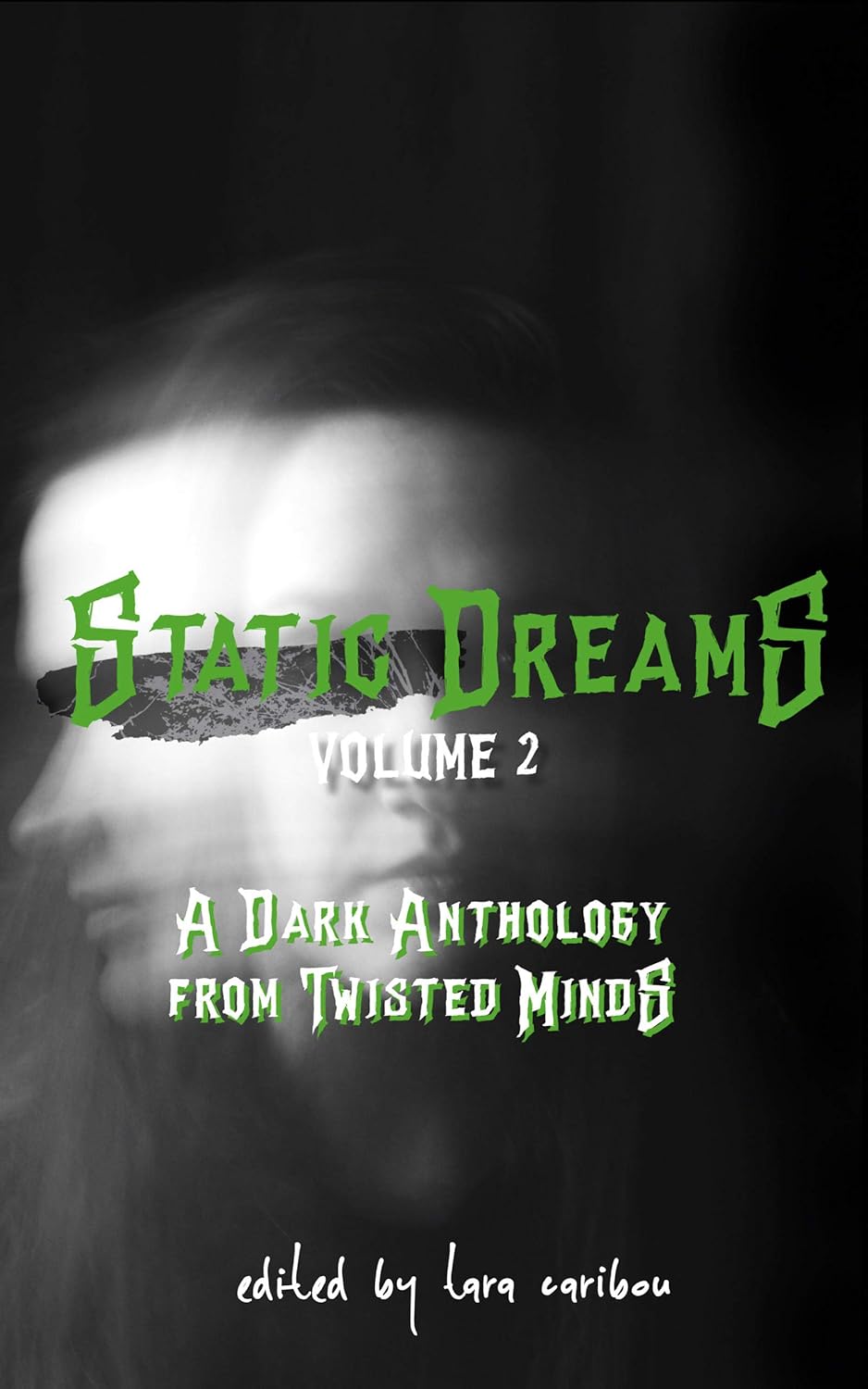 Static Dreams Volume Two: A Dark Anthology from Twisted Minds poster