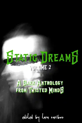 Static Dreams Volume Two: A Dark Anthology from Twisted Minds poster