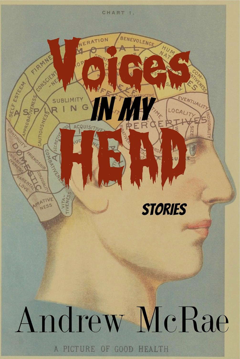 Voices in my Head: Stories poster