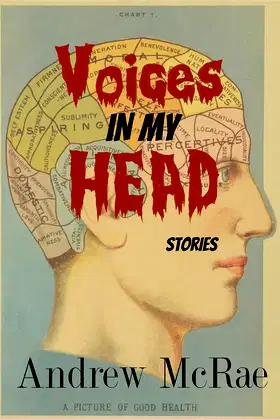Voices in my Head: Stories poster